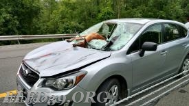 June 2017 I84
